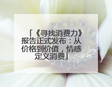 《寻找消费力》报告正式发布：从价格到价值，情感定义消费