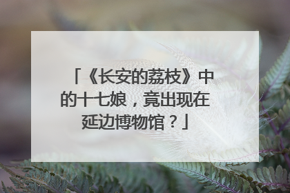 《长安的荔枝》中的十七娘，竟出现在延边博物馆？