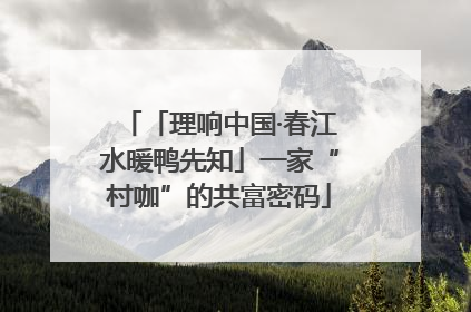 「理响中国·春江水暖鸭先知」一家“村咖”的共富密码