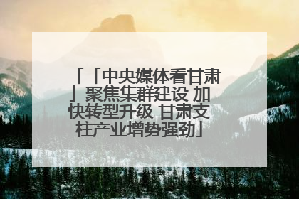 「中央媒体看甘肃」聚焦集群建设 加快转型升级 甘肃支柱产业增势强劲