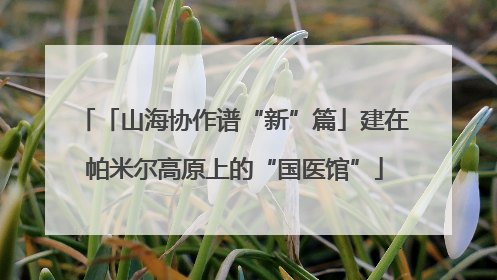 「山海协作谱“新”篇」建在帕米尔高原上的“国医馆”