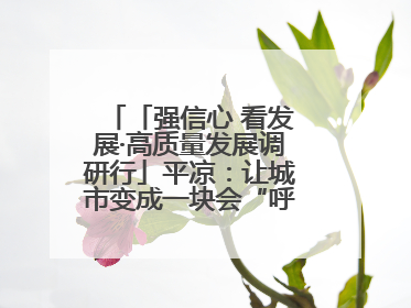「强信心 看发展·高质量发展调研行」平凉：让城市变成一块会“呼吸”的海绵