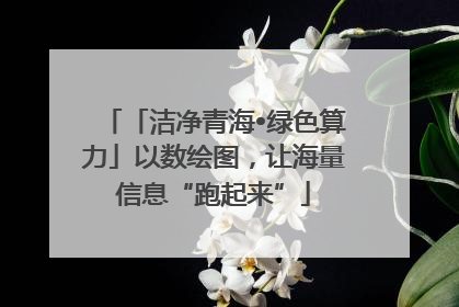「洁净青海•绿色算力」以数绘图，让海量信息“跑起来”