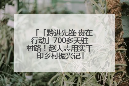 「黔进先锋·贵在行动」700多天驻村路！赵大志用实干印乡村振兴记