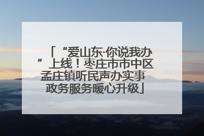 “爱山东·你说我办”上线!枣庄市市中区孟庄镇听民声办实事 政务服务暖心升级