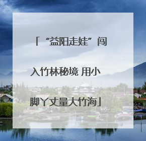 “益阳走娃”闯入竹林秘境 用小脚丫丈量大竹海