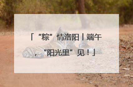 “粽”情洛阳丨端午，“阳光里”见！