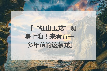 “红山玉龙”现身上海！来看五千多年前的这条龙