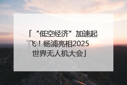 “低空经济”加速起飞！杨浦亮相2025世界无人机大会