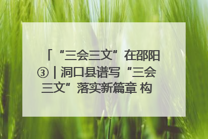 “三会三文”在邵阳③｜洞口县谱写“三会三文”落实新篇章 构建协同联动大格局