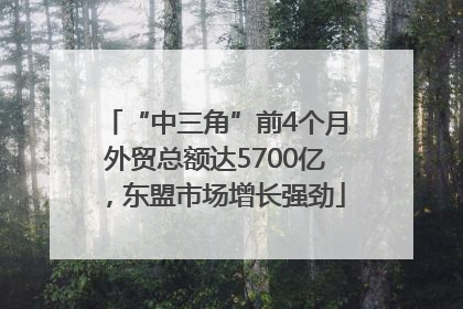 “中三角”前4个月外贸总额达5700亿，东盟市场增长强劲
