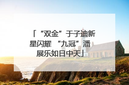 “双金”于子迪新星闪耀 “九冠”潘展乐如日中天