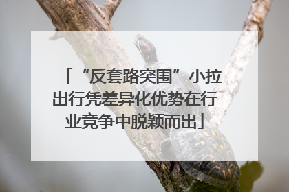 “反套路突围”小拉出行凭差异化优势在行业竞争中脱颖而出