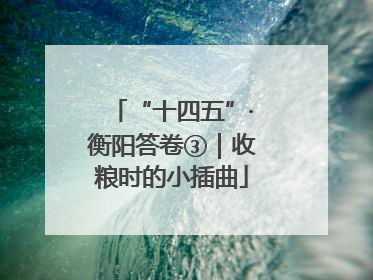 “十四五”·衡阳答卷③｜收粮时的小插曲