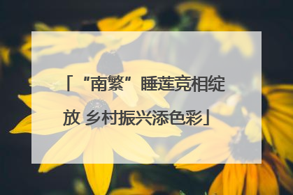 “南繁”睡莲竞相绽放 乡村振兴添色彩