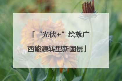 “光伏+”绘就广西能源转型新图景