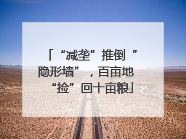 “减垄”推倒“隐形墙”，百亩地“捡”回十亩粮