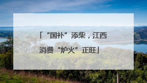 “国补”添柴，江西消费“炉火”正旺