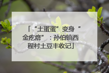 “土蛋蛋”变身“金疙瘩”：孙伯镇西程村土豆丰收记