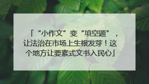 “小作文”变“填空题”，让法治在市场上生根发芽！这个地方让要素式文书入民心