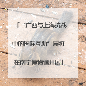 “广西与上海抗战中的国际互助”展将在南宁博物馆开展