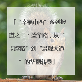 “幸福市西”系列报道之二：盛华路，从“卡脖路”到“景观大道”的华丽转身