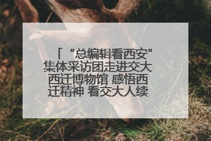 “总编辑看西安”集体采访团走进交大西迁博物馆 感悟西迁精神 看交大人续写爱国奋斗新篇章