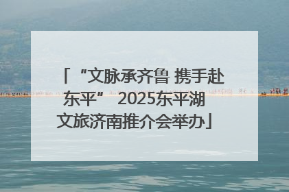 “文脉承齐鲁 携手赴东平” 2025东平湖文旅济南推介会举办