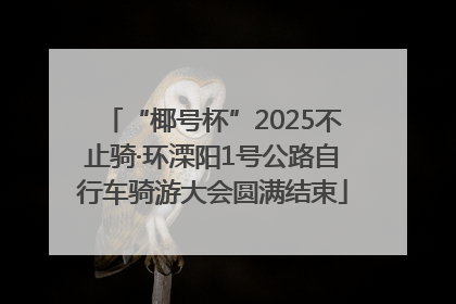 “椰号杯”2025不止骑·环溧阳1号公路自行车骑游大会圆满结束