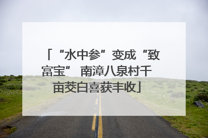 “水中参”变成“致富宝” 南漳八泉村千亩茭白喜获丰收