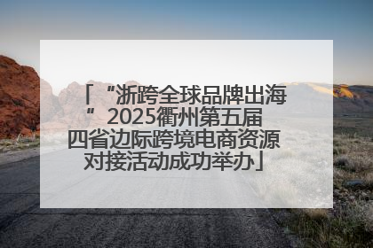 “浙跨全球品牌出海”2025衢州第五届四省边际跨境电商资源对接活动成功举办