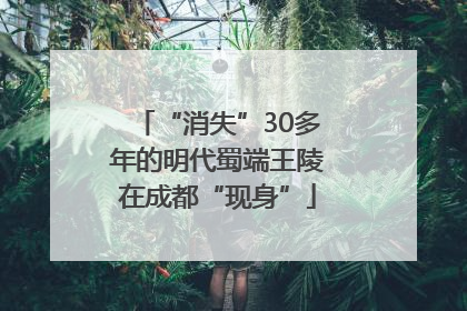 “消失”30多年的明代蜀端王陵在成都“现身”