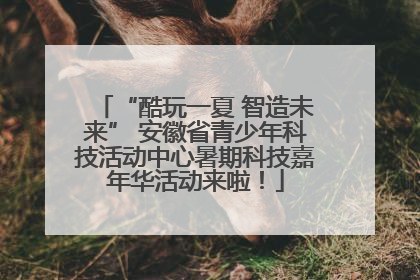 “酷玩一夏 智造未来” 安徽省青少年科技活动中心暑期科技嘉年华活动来啦！