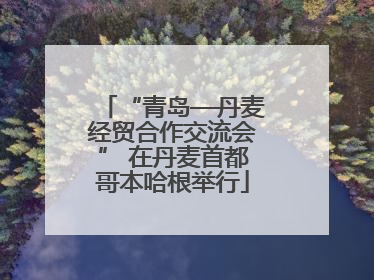 “青岛—丹麦经贸合作交流会” 在丹麦首都哥本哈根举行