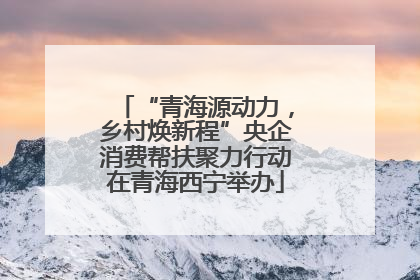 “青海源动力，乡村焕新程”央企消费帮扶聚力行动在青海西宁举办