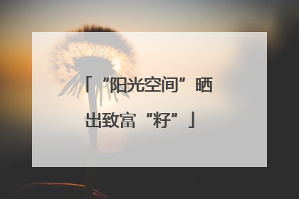 “阳光空间”晒出致富“籽”