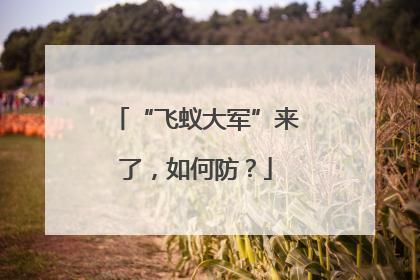 “飞蚁大军”来了，如何防？