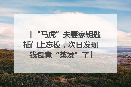 “马虎”夫妻家钥匙插门上忘拔，次日发现钱包竟“蒸发”了