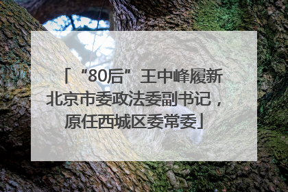 “80后”王中峰履新北京市委政法委副书记，原任西城区委常委