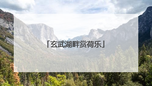 玄武湖畔赏荷乐