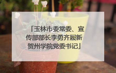 玉林市委常委、宣传部部长李勇齐履新贺州学院党委书记