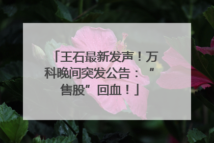 王石最新发声！万科晚间突发公告：“售股”回血！