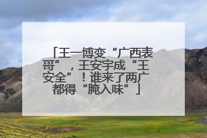 王一博变“广西表哥”，王安宇成“王安全”！谁来了两广都得“腌入味”