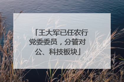 王大军已任农行党委委员，分管对公、科技板块