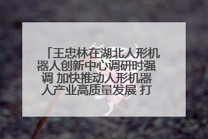 王忠林在湖北人形机器人创新中心调研时强调 加快推动人形机器人产业高质量发展 打造具有全国影响力的研发创新基地