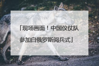 现场画面！中国仪仗队参加白俄罗斯阅兵式