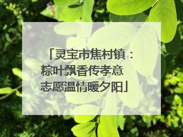 灵宝市焦村镇：粽叶飘香传孝意 志愿温情暖夕阳