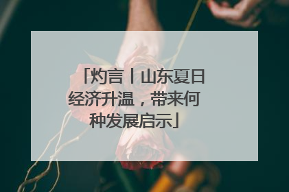 灼言丨山东夏日经济升温，带来何种发展启示