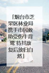 烟台市芝罘区林业局携手市民救助受伤牛背鹭 待其康复后放归自然