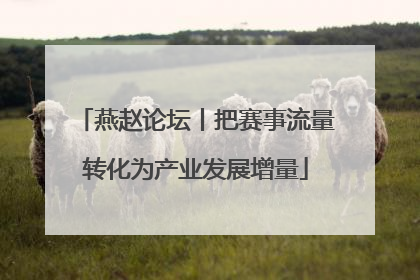 燕赵论坛丨把赛事流量转化为产业发展增量